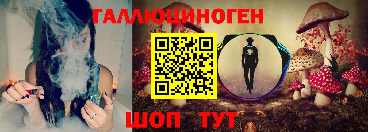 Александров  Псилоцибиновые грибы MAGIC MUSHROOMS  Вход с VPN  Галлюциногенные грибы мухоморы 