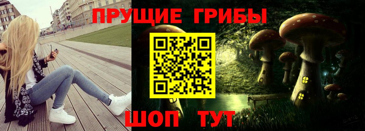 Псилоцибиновые грибы прущие грибы Александров